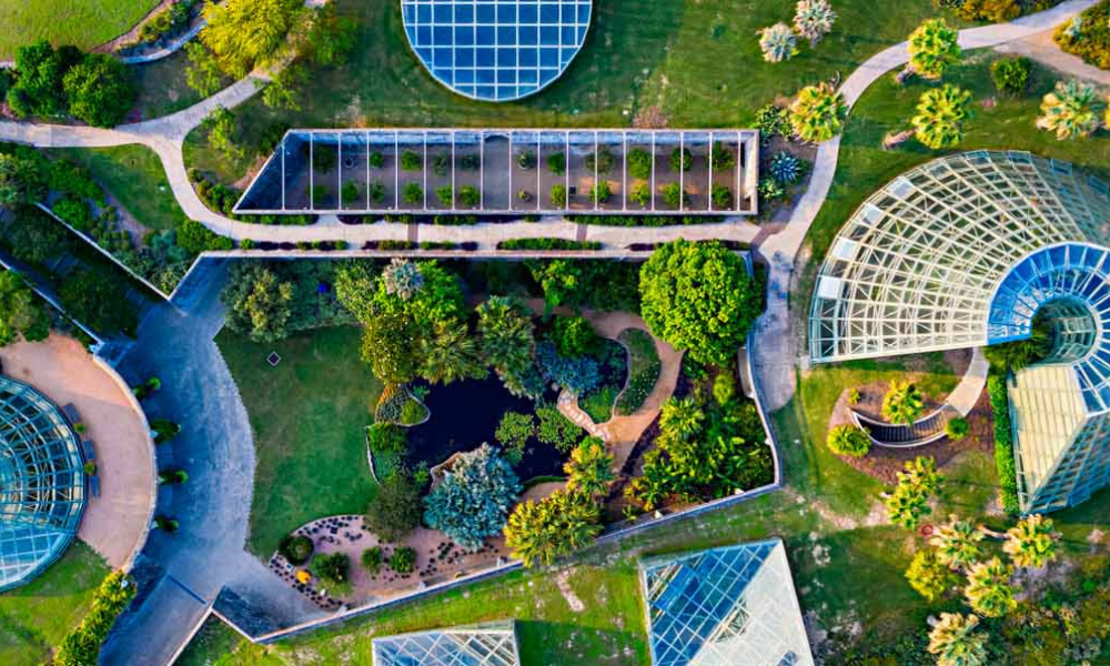 San Antonio Botanical Garden Weddings Near Me